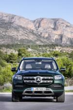 Mercedes-Benz GLS580 4Matic 2019 года (WW)